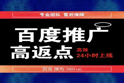 精准营销：百度推广平台的成功案例解析